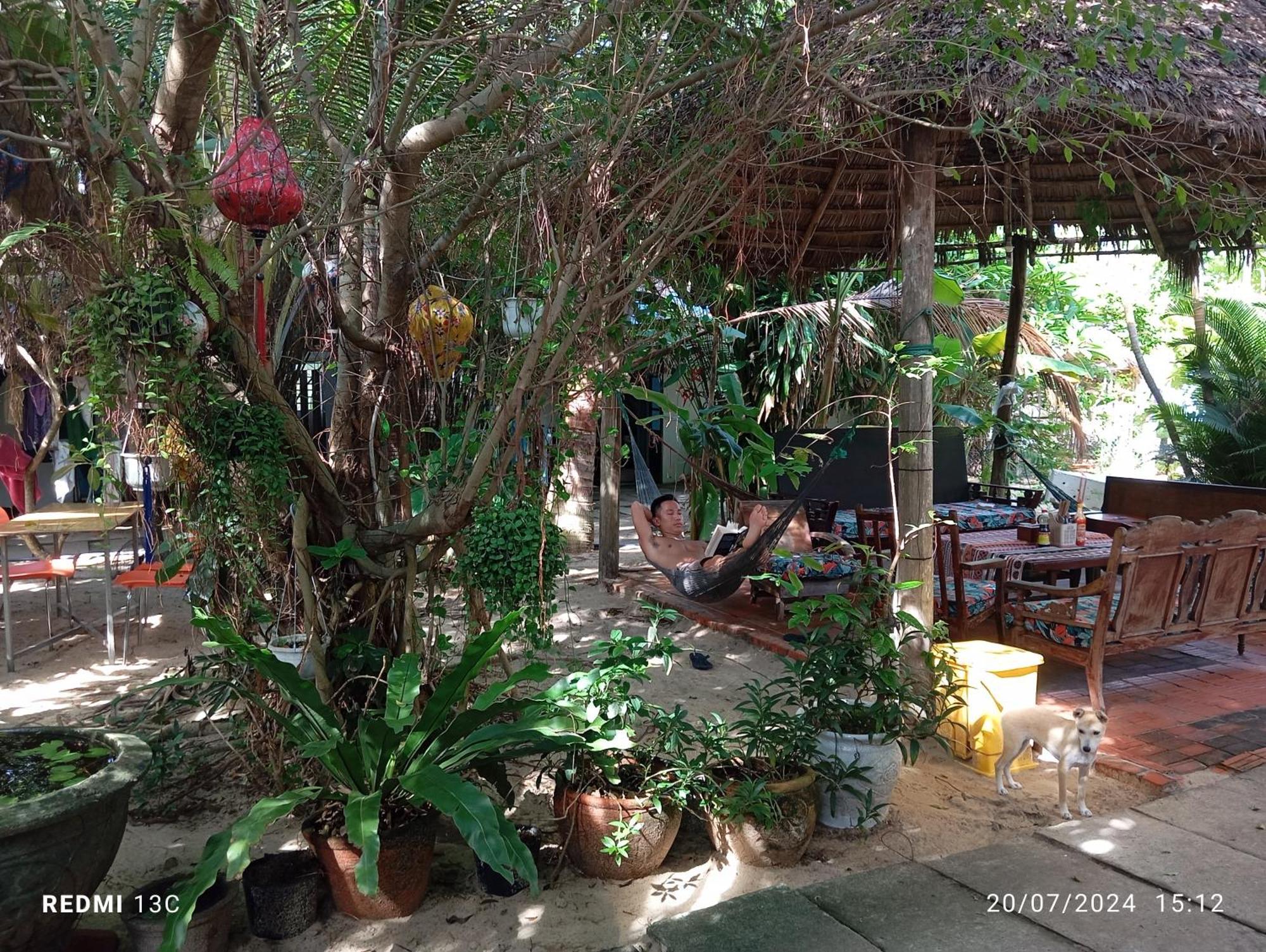 הוי אן The Seaside Bungalow Hostel And Bar מראה חיצוני תמונה